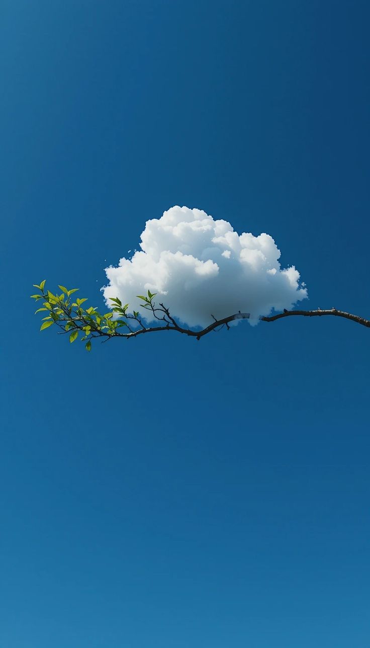 A white cloud suspended over a leafy branch in a clear blue sky
